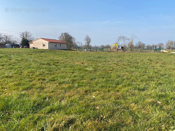 Terrain à SAINT-BENIGNE