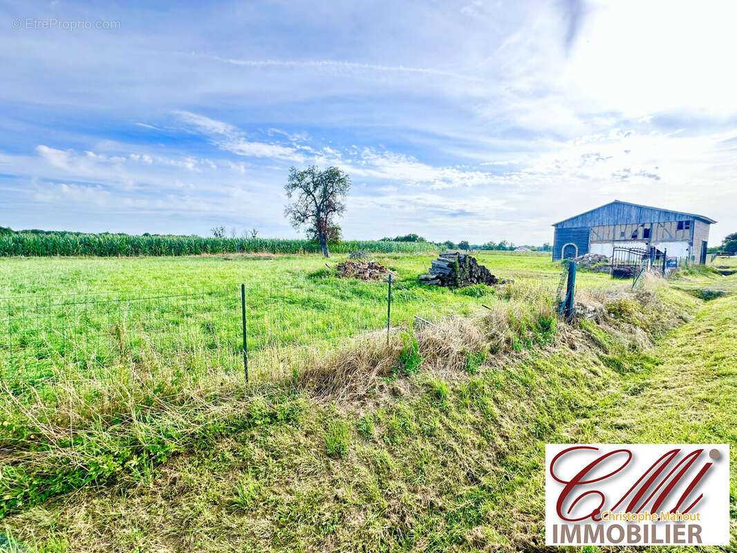 Terrain à GIFFAUMONT-CHAMPAUBERT