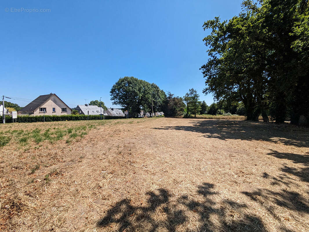 Terrain à SAINT-DOLAY