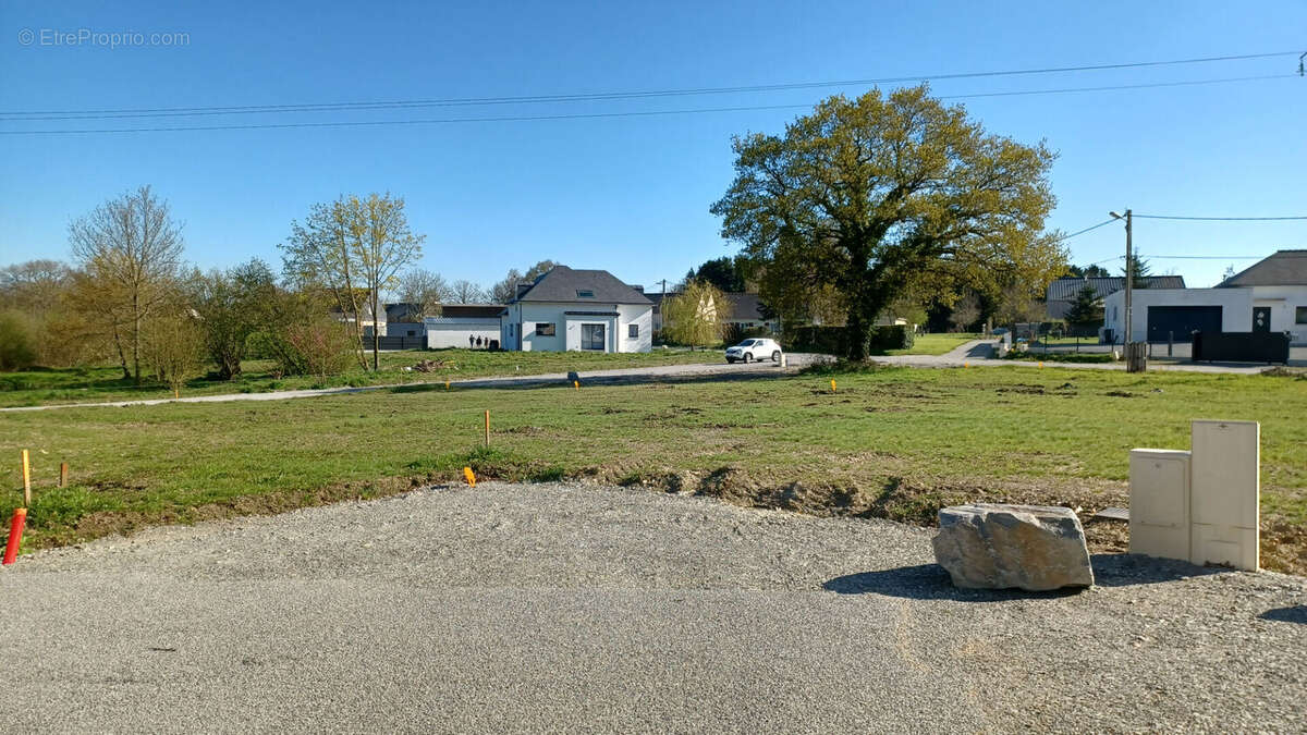 Terrain à SAINT-DOLAY