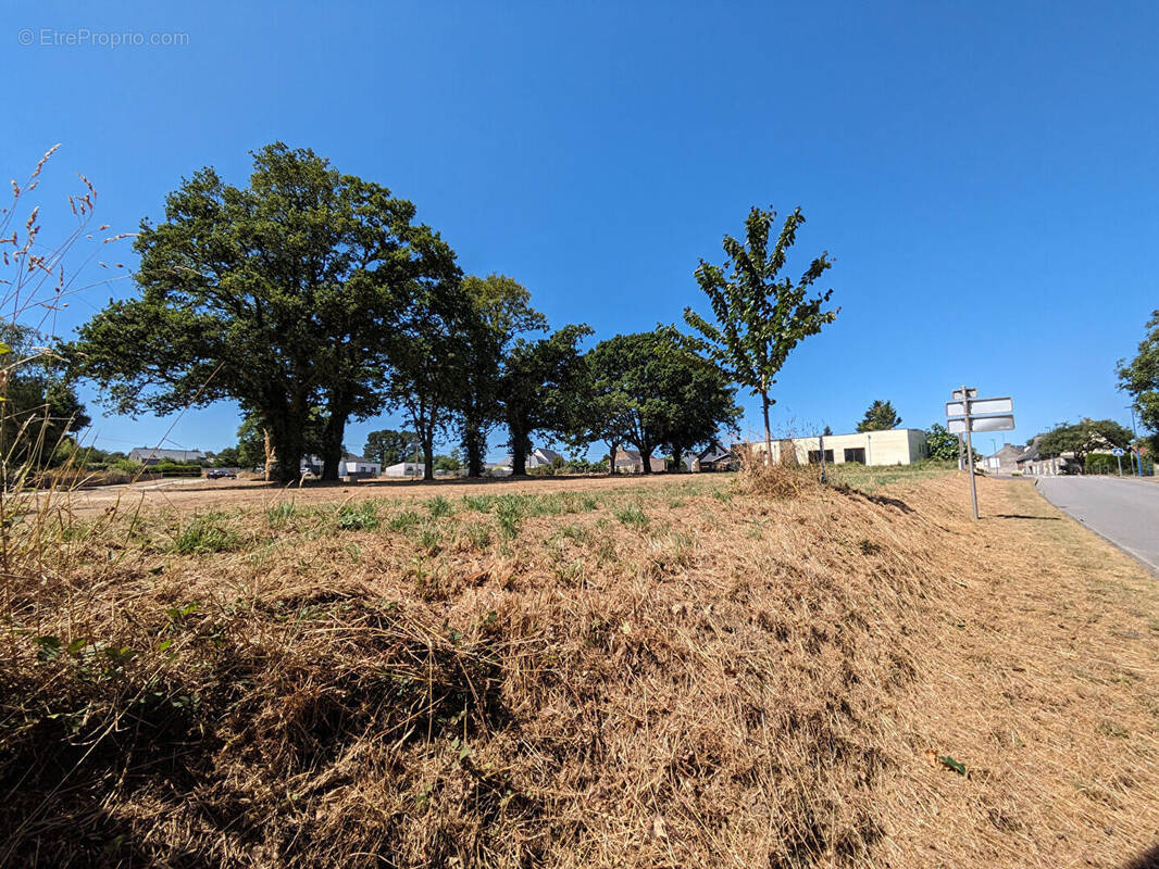 Terrain à SAINT-DOLAY