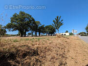 Terrain à SAINT-DOLAY