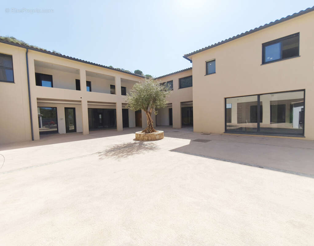 Commerce à PIETROSELLA