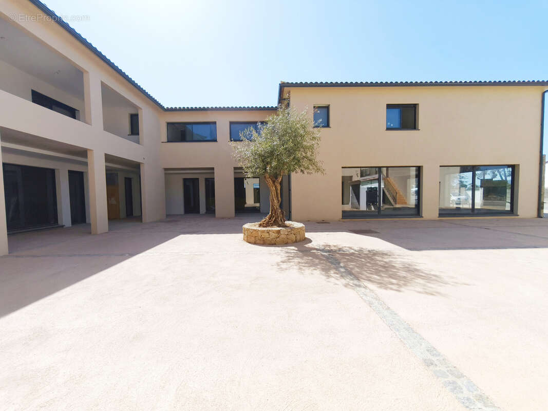 Commerce à PIETROSELLA