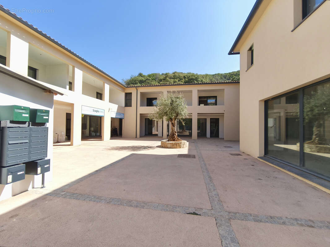 Commerce à PIETROSELLA