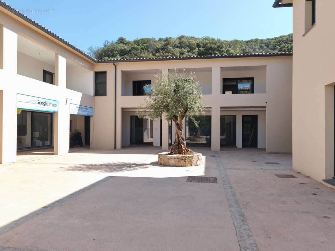 Commerce à PIETROSELLA