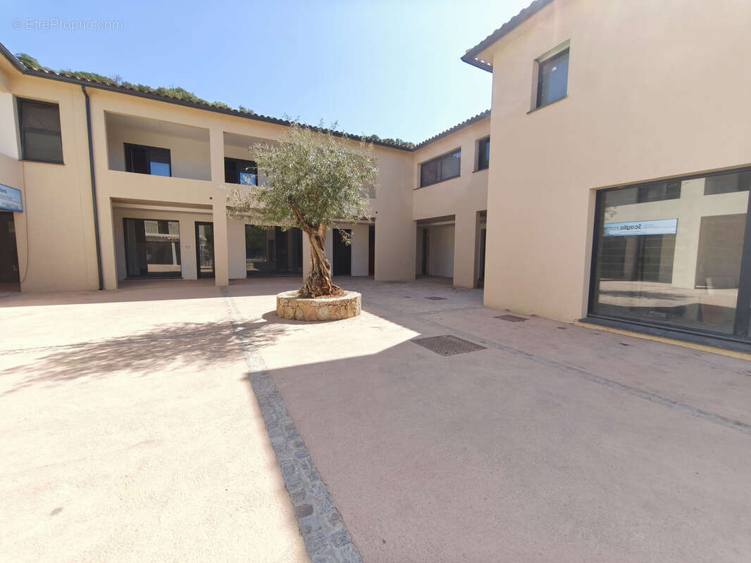 Commerce à PIETROSELLA