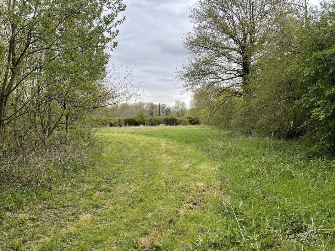 Terrain à BOUIN-PLUMOISON