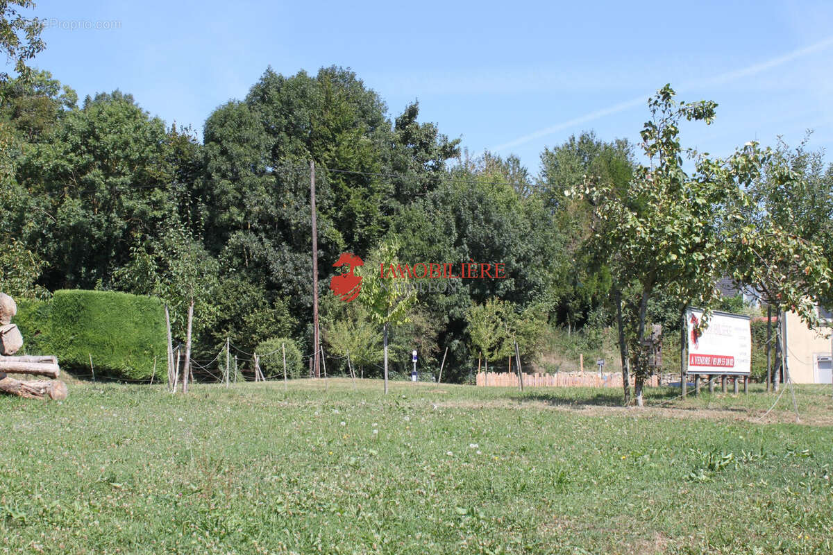 Terrain à SAINT-BERNARD