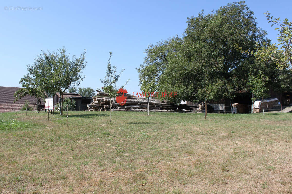 Terrain à SAINT-BERNARD