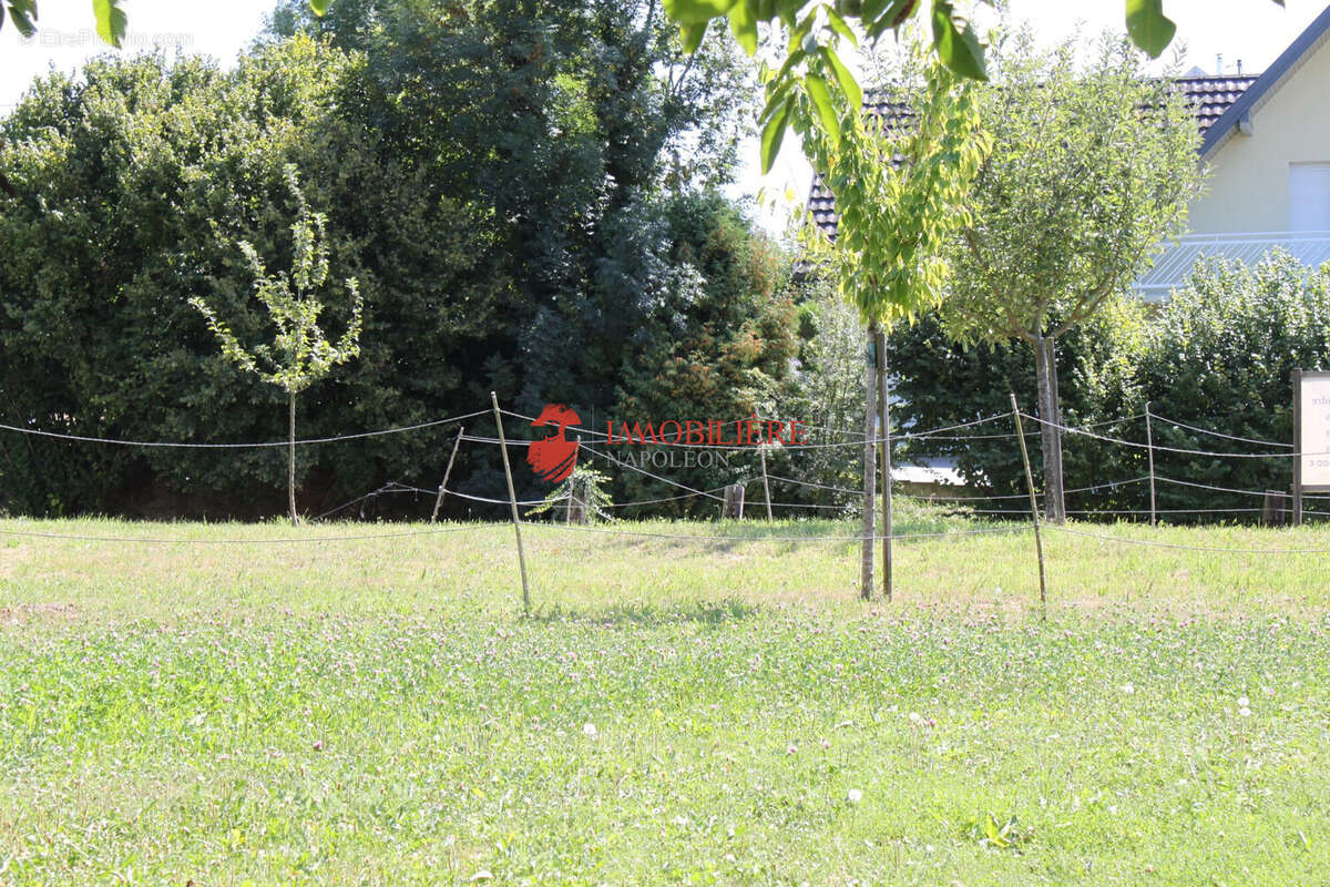 Terrain à SAINT-BERNARD