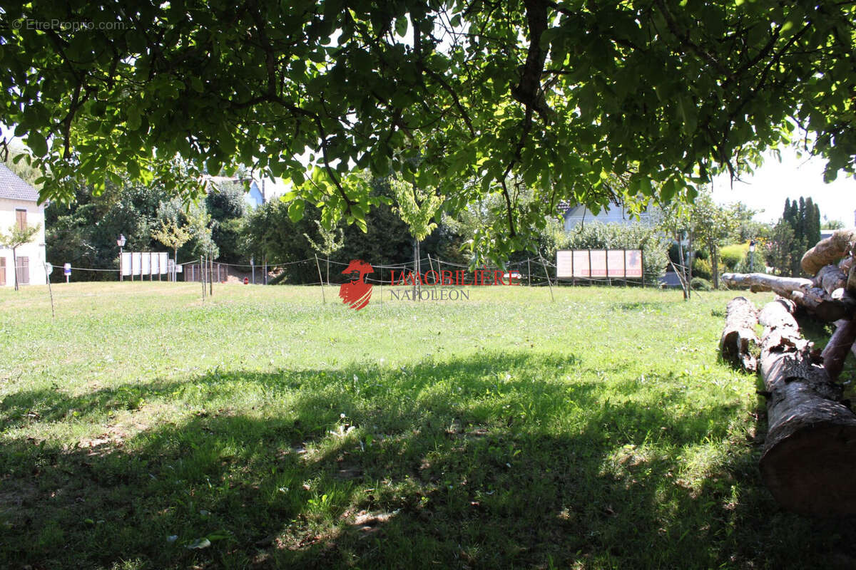 Terrain à SAINT-BERNARD