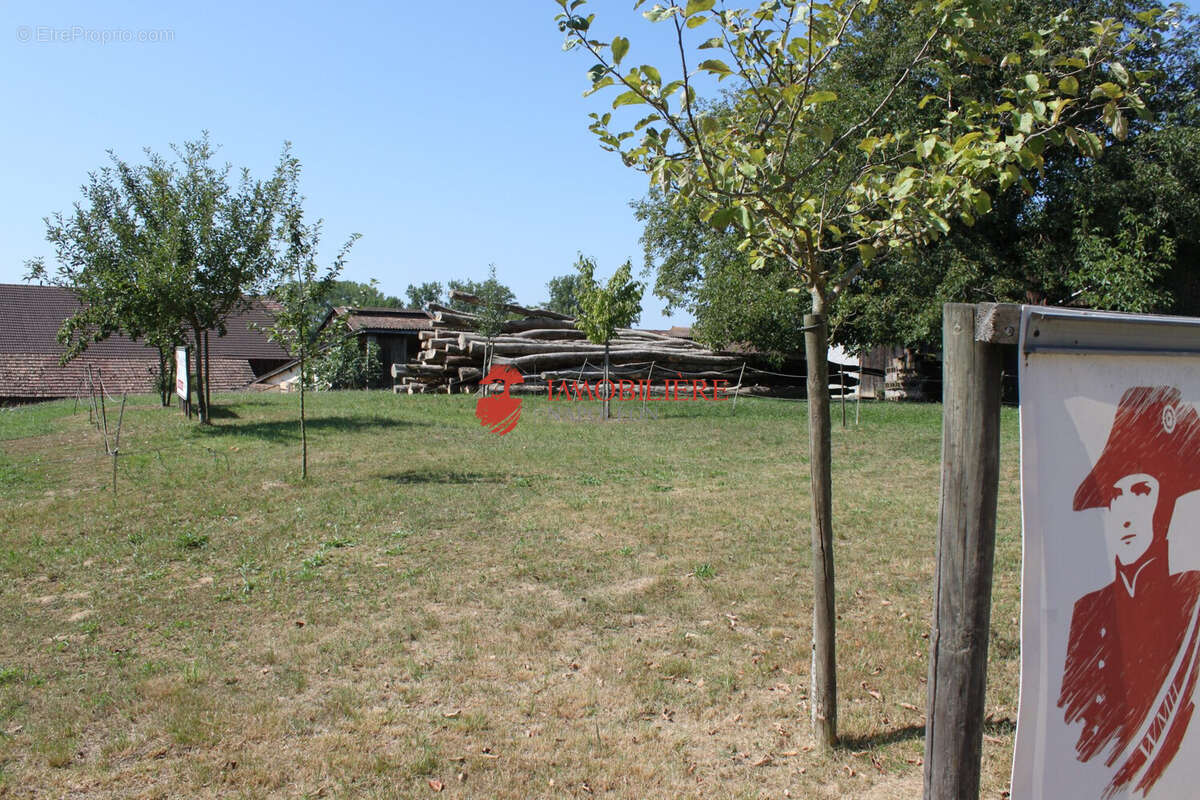 Terrain à SAINT-BERNARD