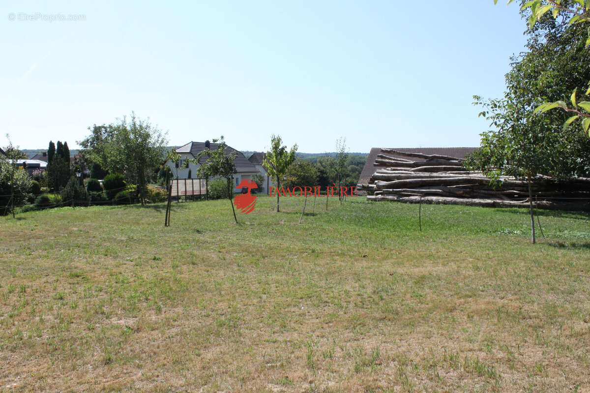 Terrain à SAINT-BERNARD