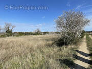 Terrain à BEZIERS