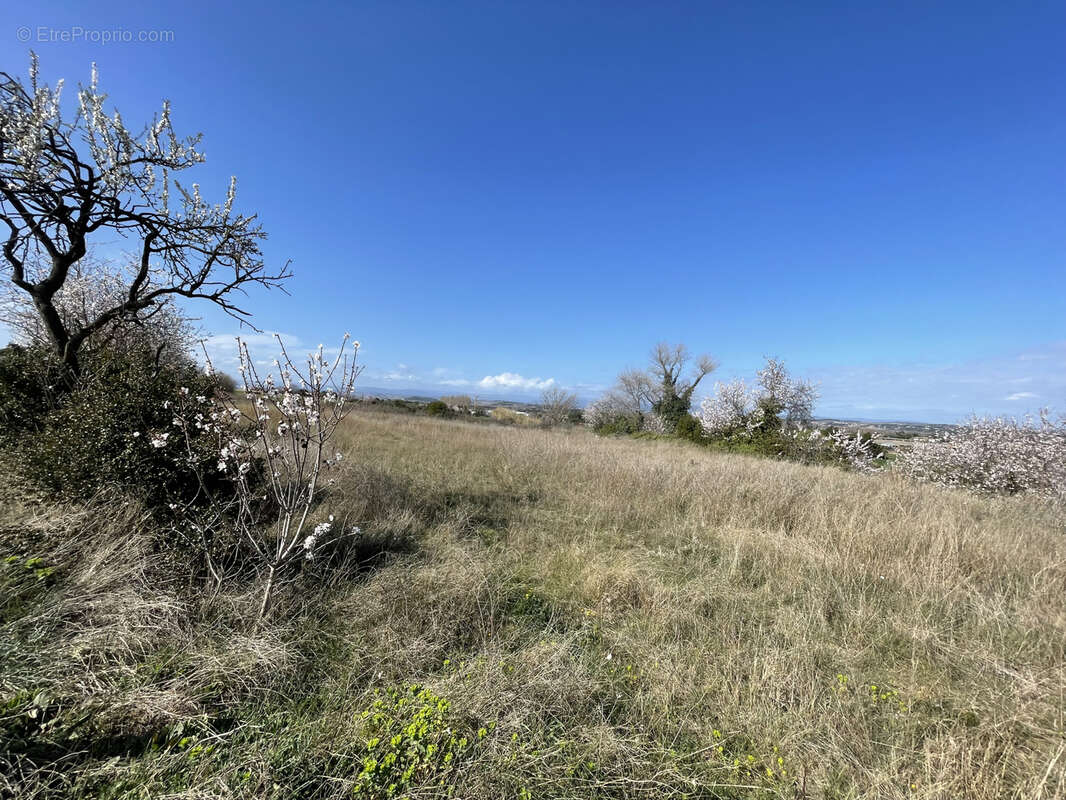 Terrain à BEZIERS