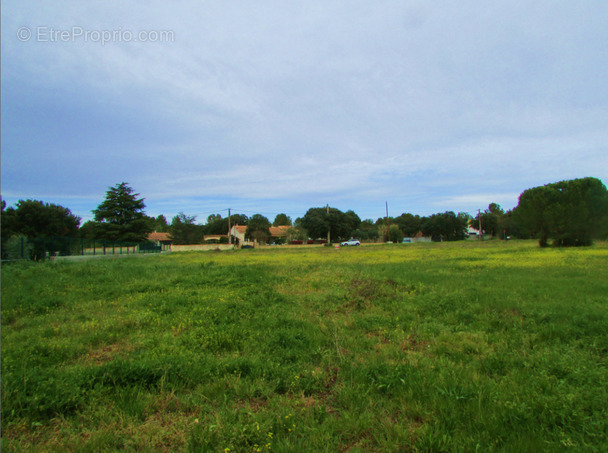 Terrain à VILLEVIEILLE