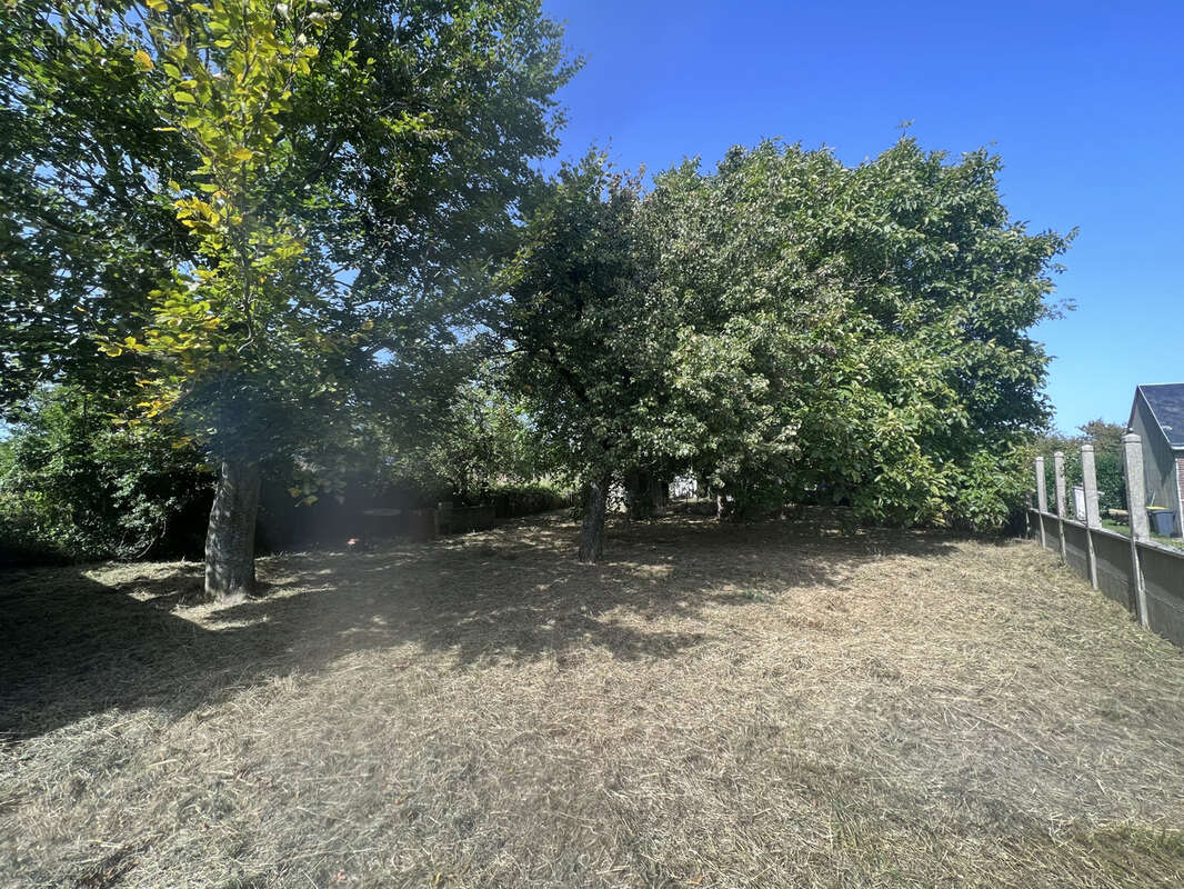 Terrain à ANNOUVILLE-VILMESNIL