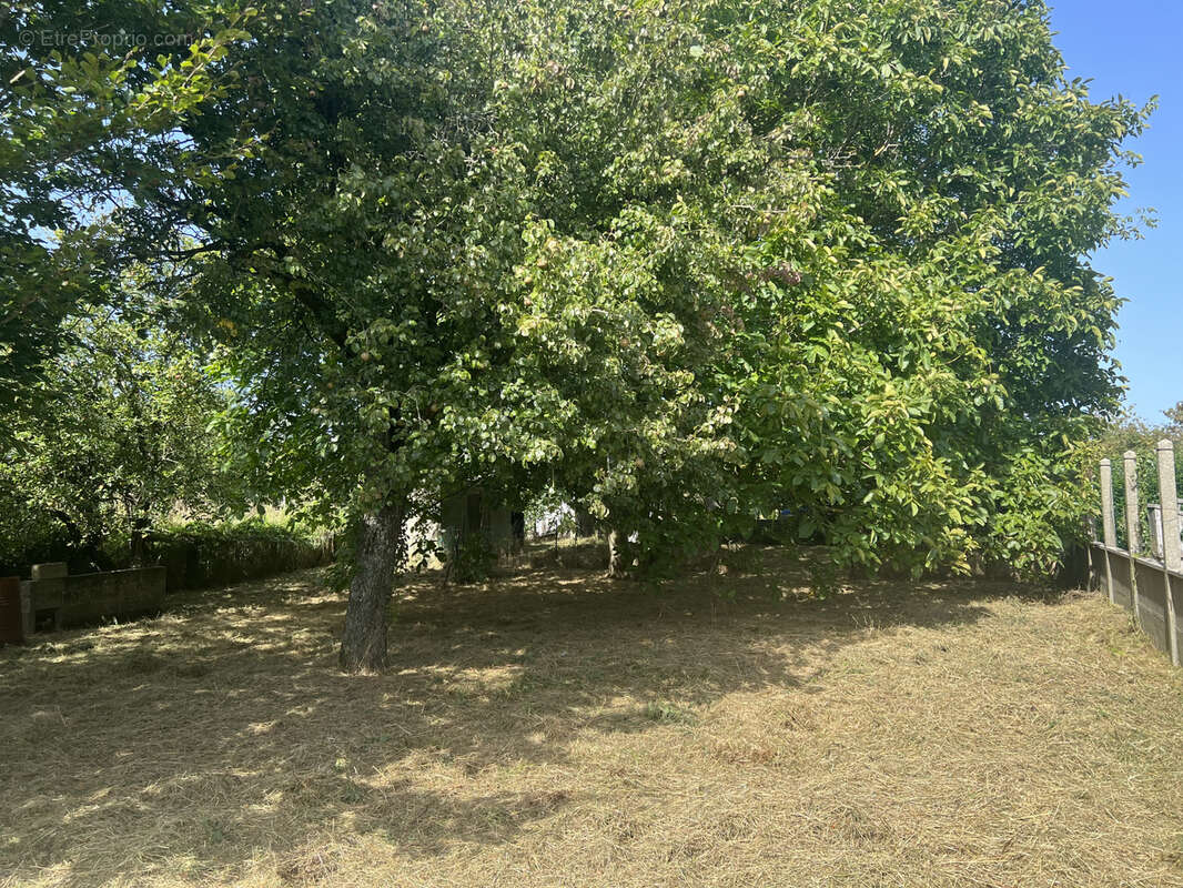 Terrain à ANNOUVILLE-VILMESNIL