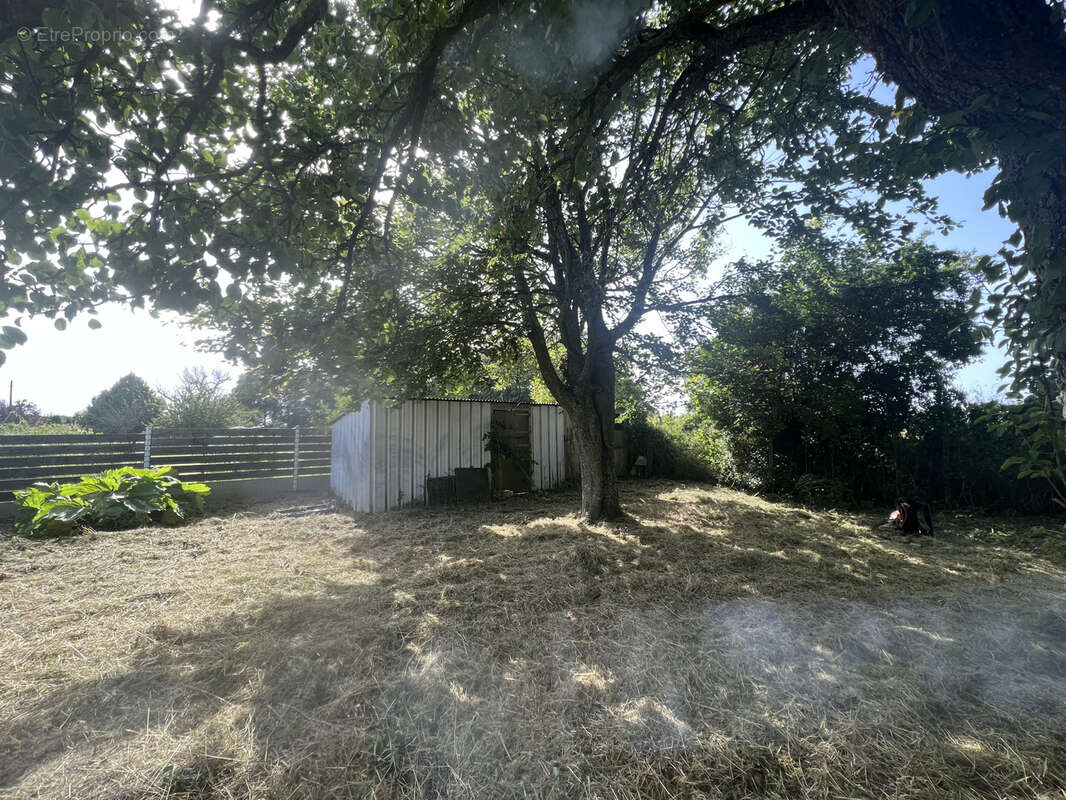 Terrain à ANNOUVILLE-VILMESNIL