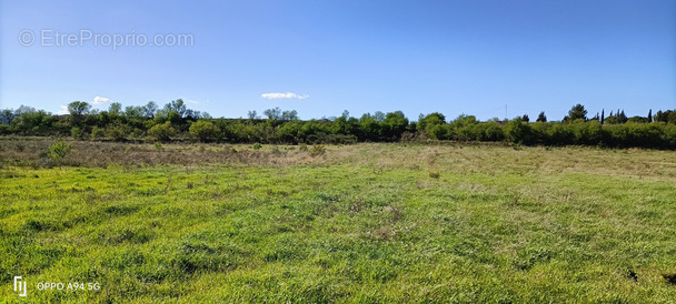 Terrain à FERRALS-LES-CORBIERES