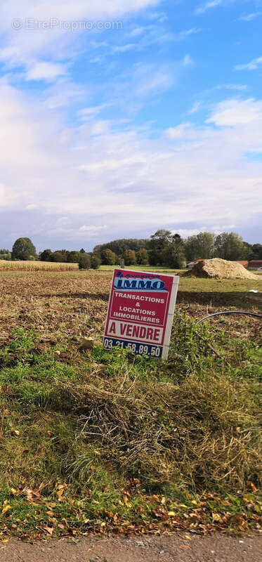 Terrain à AUBIGNY-EN-ARTOIS