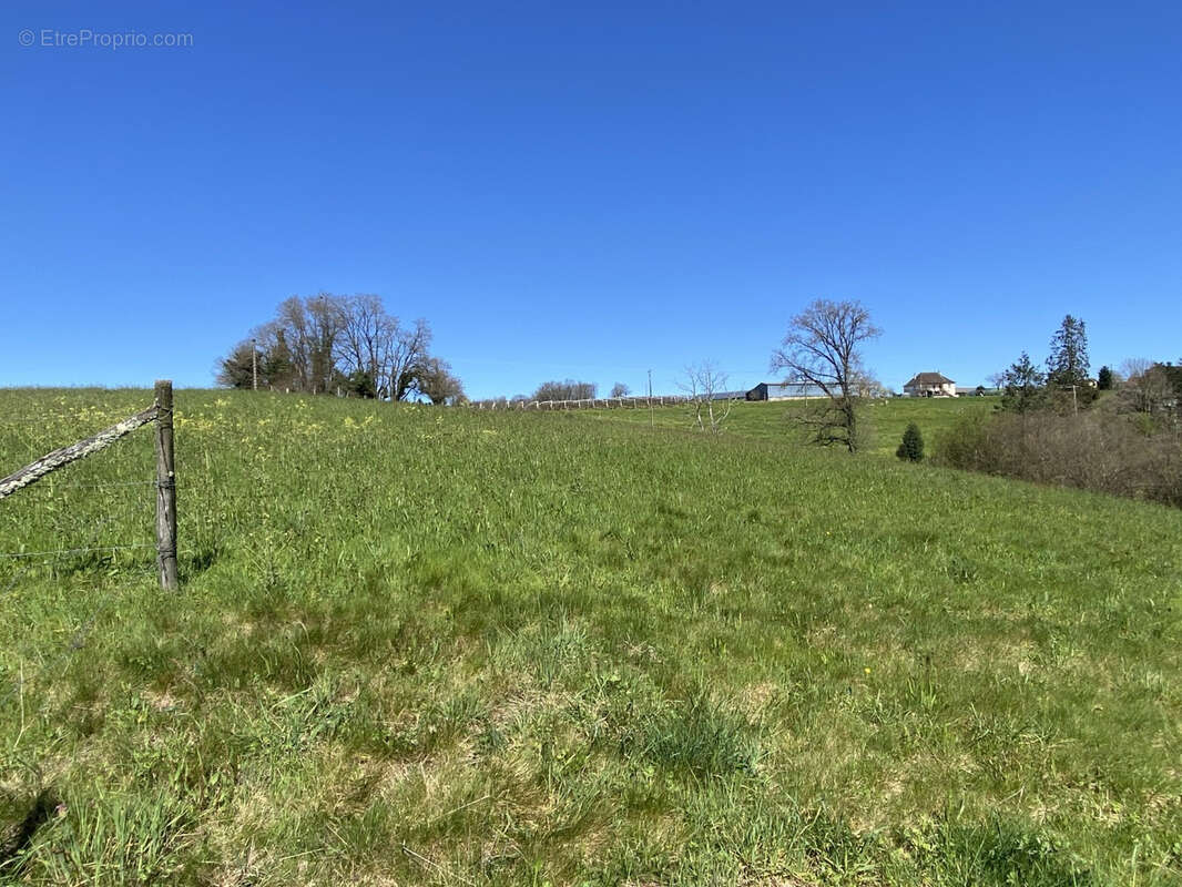 Terrain à CHABRIGNAC