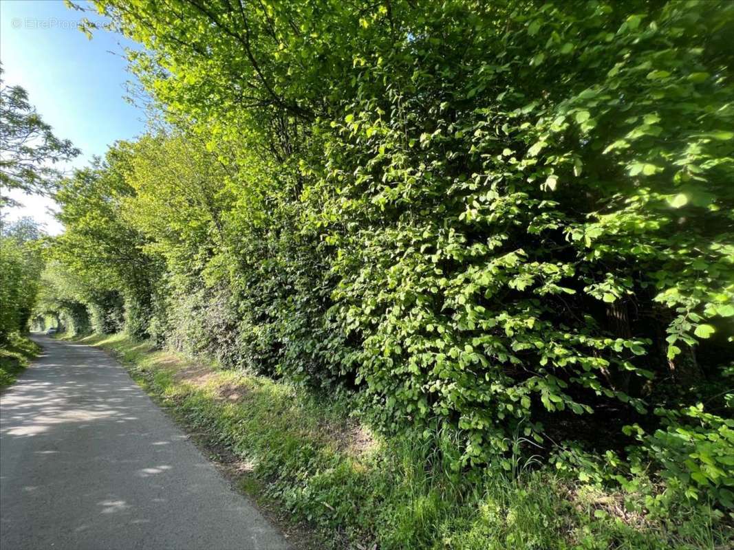 Terrain à TORDOUET