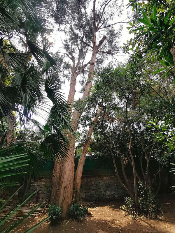 Maison à SAINT-RAPHAEL