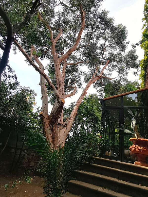 Maison à SAINT-RAPHAEL