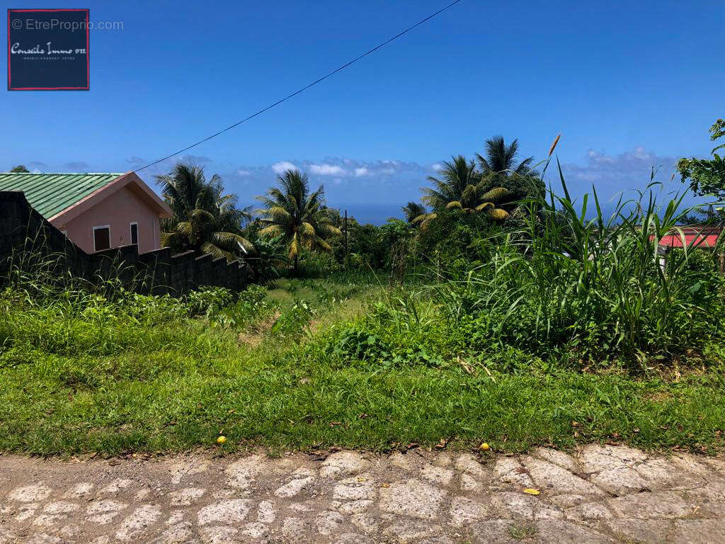 Terrain à BASSE-POINTE