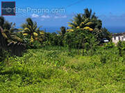 Terrain à BASSE-POINTE