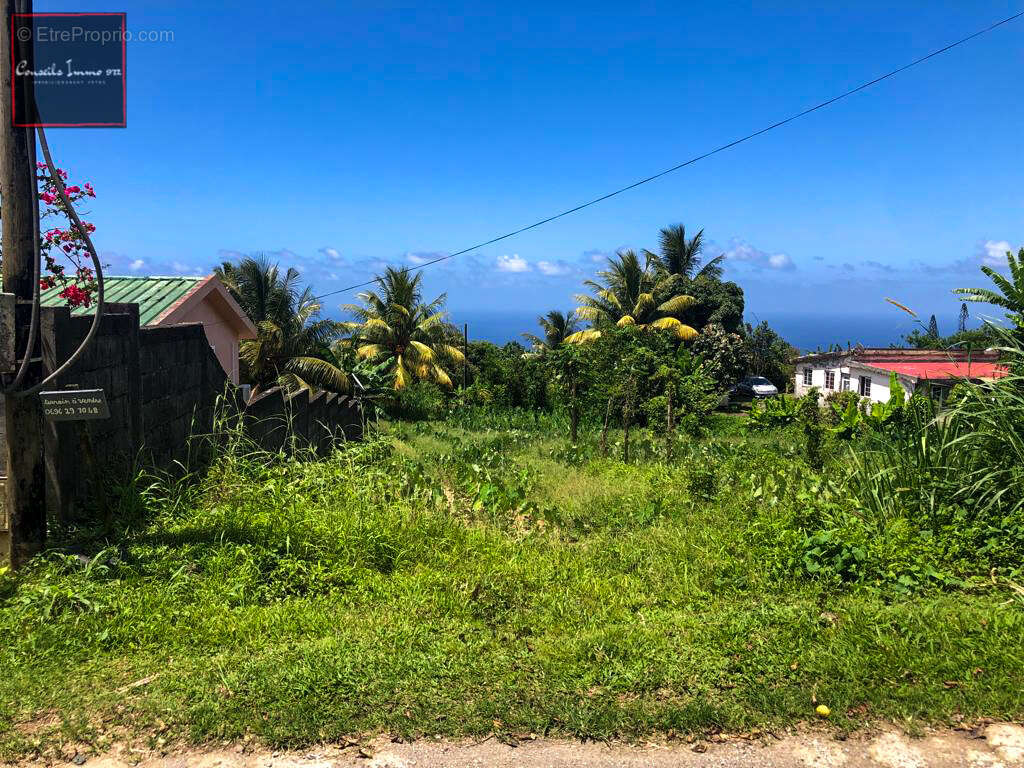 Terrain à BASSE-POINTE