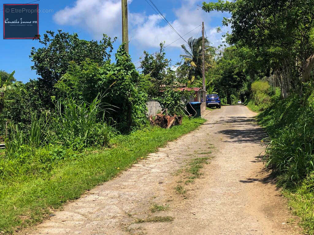 Terrain à BASSE-POINTE