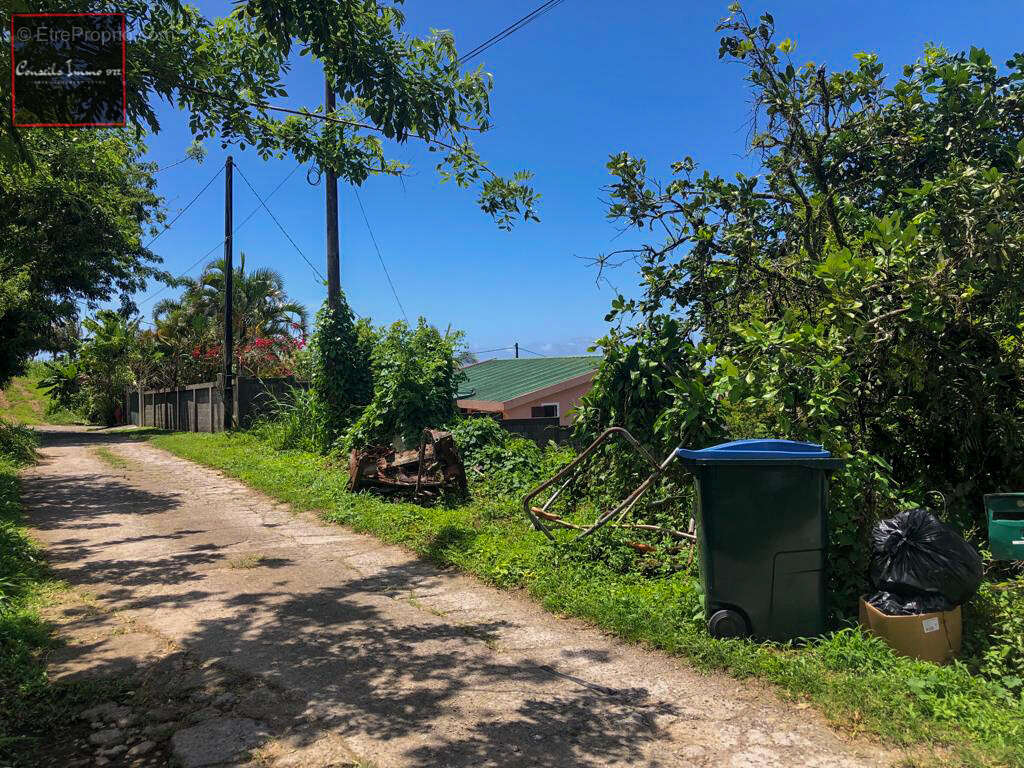 Terrain à BASSE-POINTE
