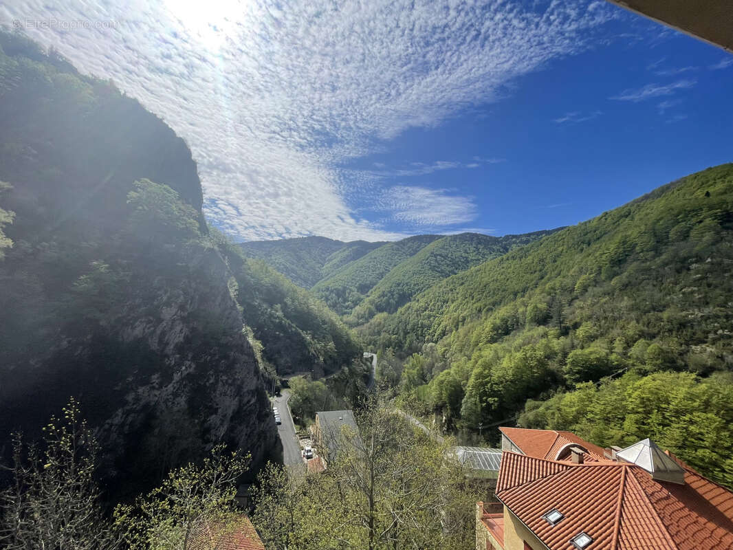 Appartement à PRATS-DE-MOLLO-LA-PRESTE
