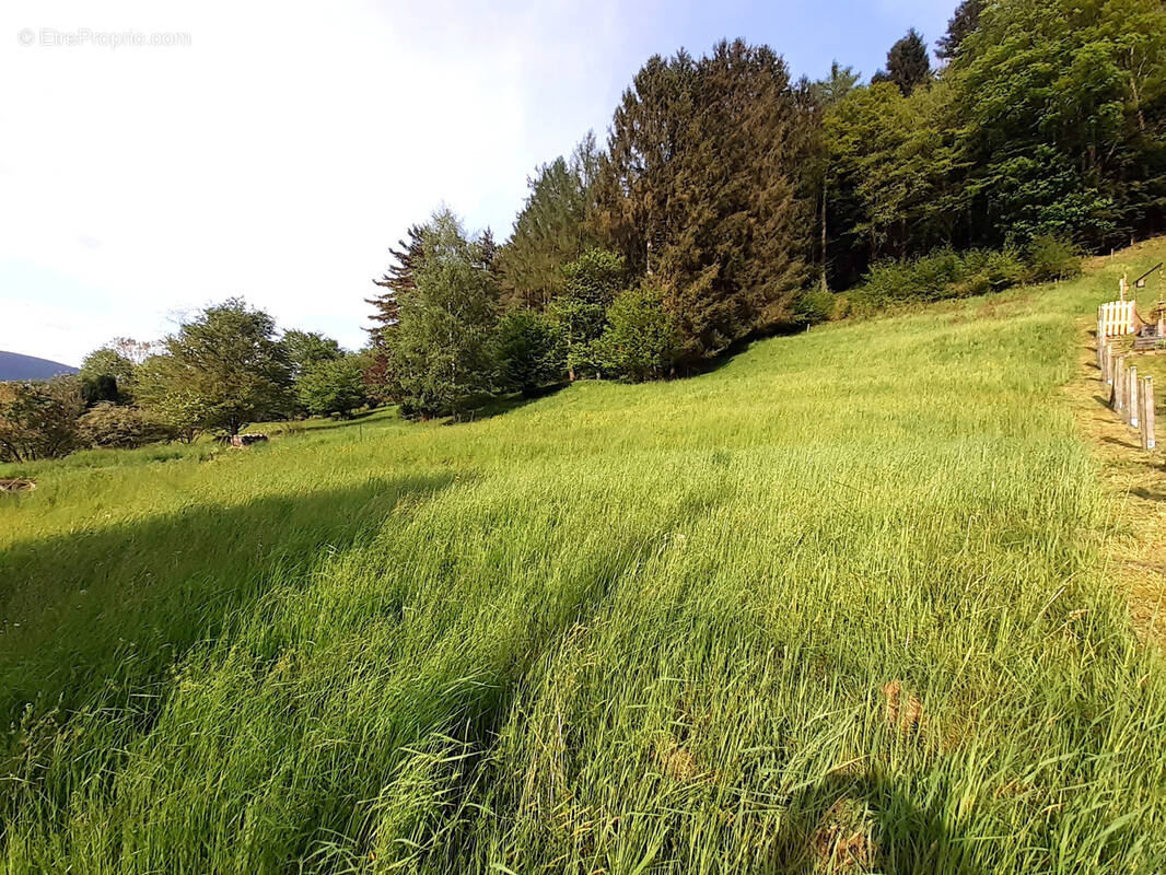 Terrain à SONDERNACH