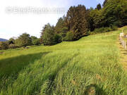 Terrain à SONDERNACH