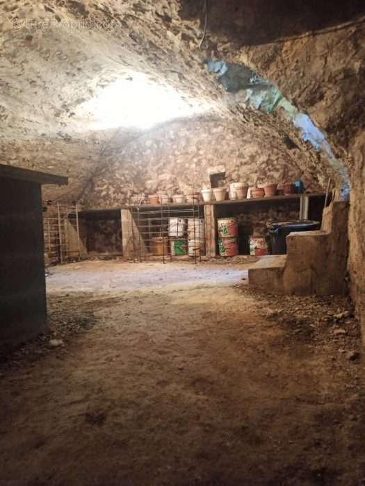 Cave voûtée - Maison à COURTACON