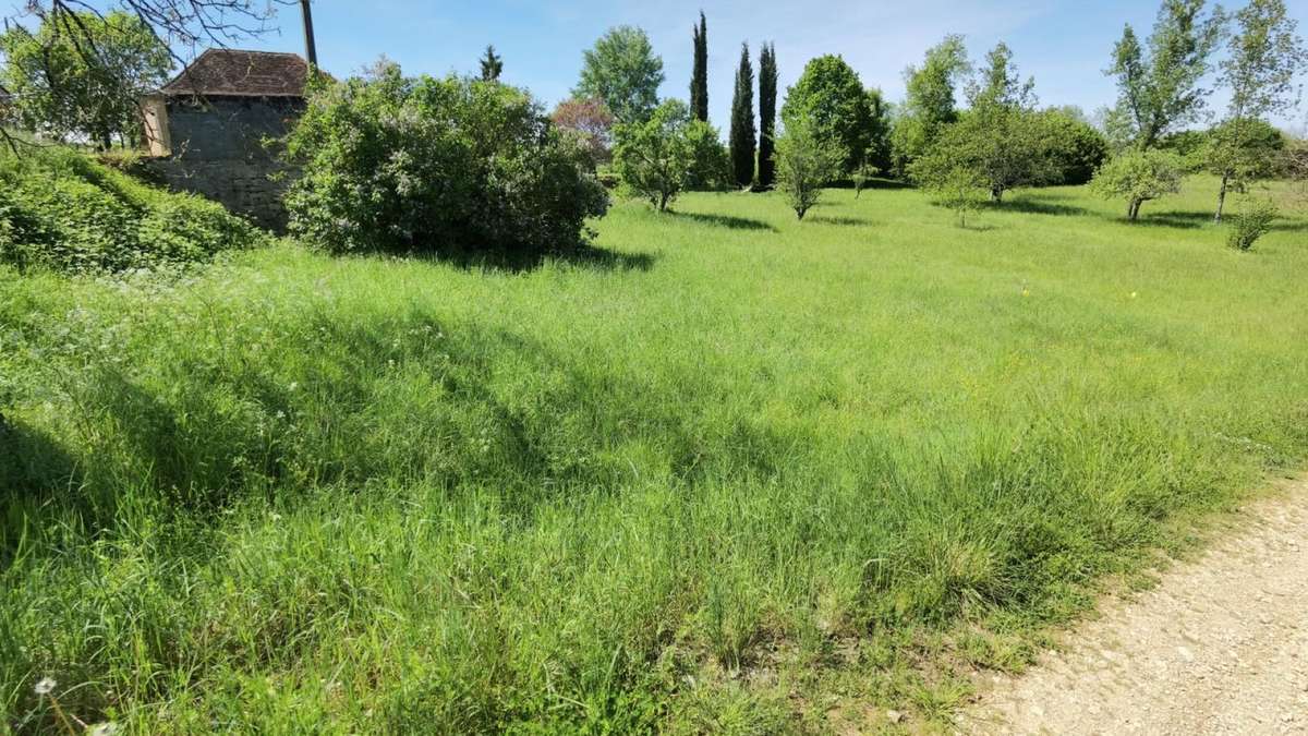 Terrain bas - Maison à THIVIERS