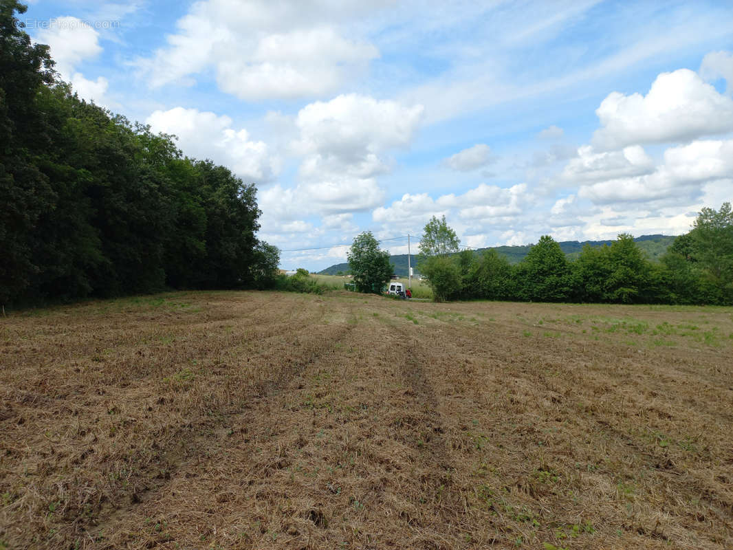 Terrain à CASTELNAU-MAGNOAC