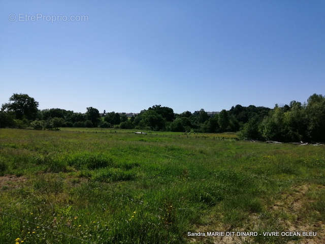 Terrain à PARIGNY