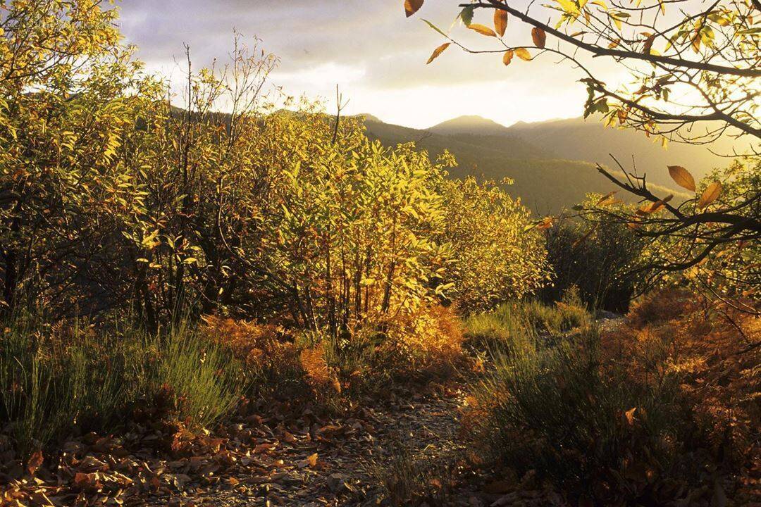 Terrain à SAINT-MARTIN-DE-LANSUSCLE