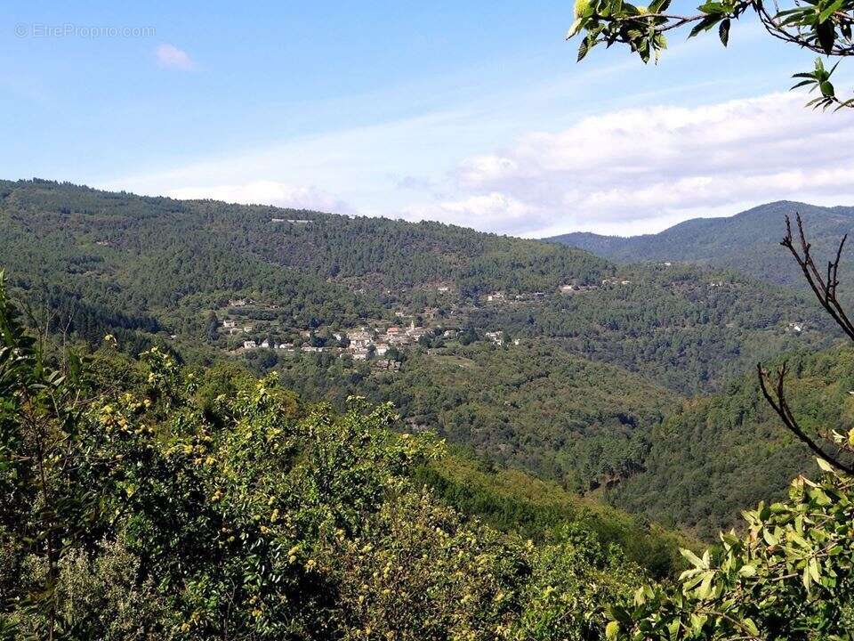 Terrain à SAINT-MARTIN-DE-LANSUSCLE