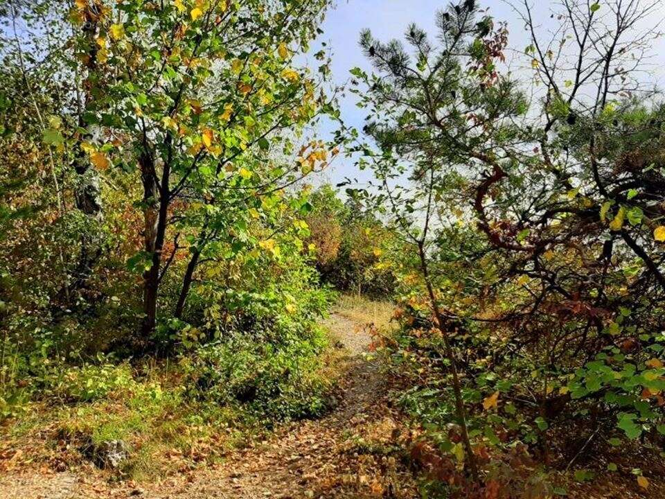 Terrain à SAINT-MARTIN-DE-LANSUSCLE