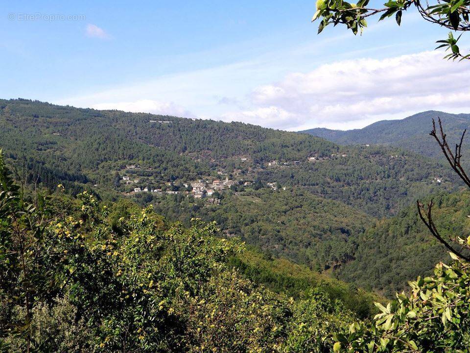Terrain à SAINT-MARTIN-DE-LANSUSCLE