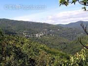 Terrain à SAINT-MARTIN-DE-LANSUSCLE