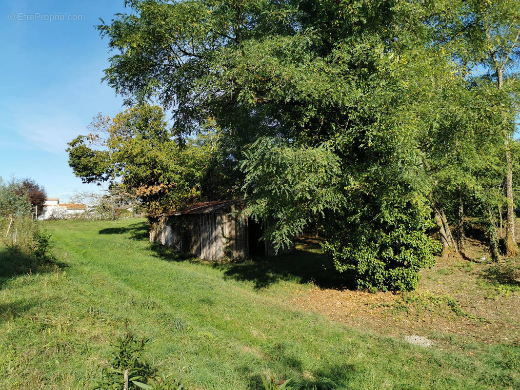 Terrain à COUTRAS