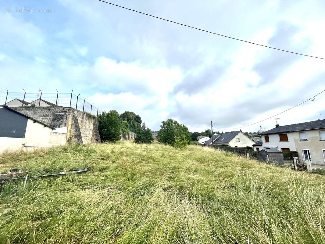 Terrain à VIVIER-AU-COURT