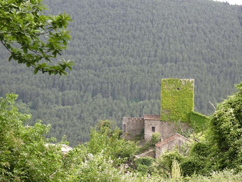 Maison à SAINT-ROMAN-DE-CODIERES